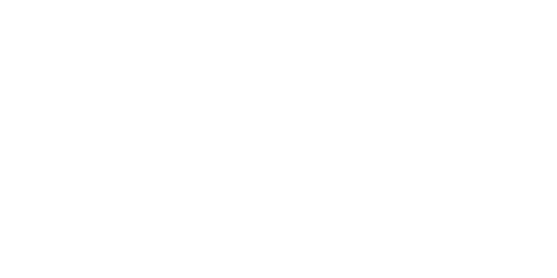 partner_ijsselmeervogels